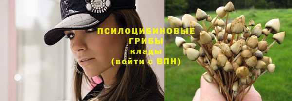 ALPHA-PVP Володарск