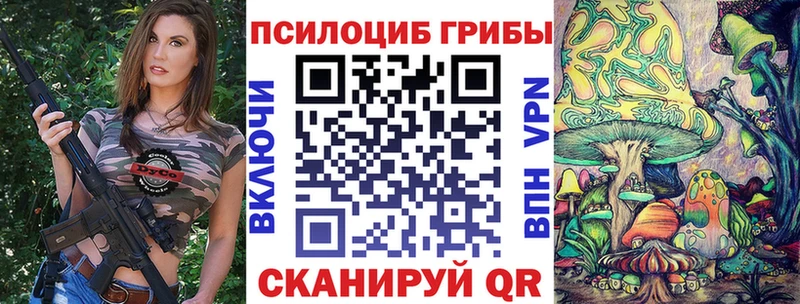 OMG   Облучье  Псилоцибиновые грибы Psilocybe 